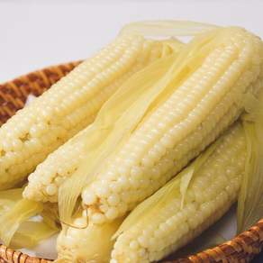국내산 무주 대학 찰옥수수