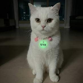 야광 이름표 비즈 고양이 목걸이