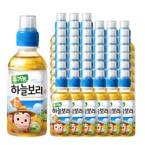 웅진 유기농 하늘보리차