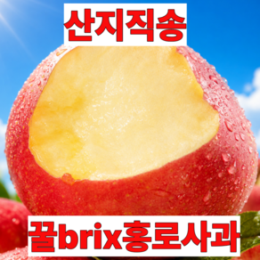 [최대18brix] 초고당도 홍로 사과 국내산 고당도