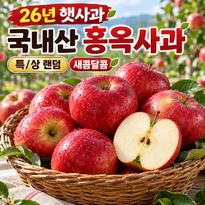 [26년 햇사과] 국내산 홍옥사과 특/상 랜덤 새콤달콤