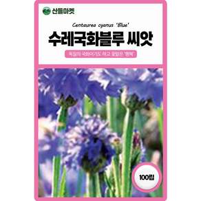 산들마켓 블루 수레국화 꽃씨앗 100립 푸른빛 일년생 독일 국화꽃씨 종자