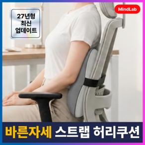 마인드랩 바른자세 사무실 등받이 허리쿠션