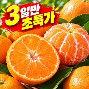 [3일만초특가] 고당도 산지직송 극조생 제주 감귤