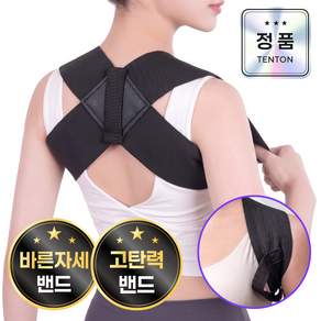 텐톤 남녀공용 바른자세 밴드 어깨 등 서포트밴드pro