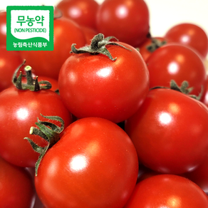 무농약 방울토마토 친환경 인증 고당도 토마토
