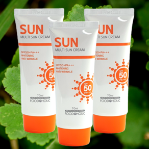 푸드어홀릭 멀티 선크림 SPF50 PA+++