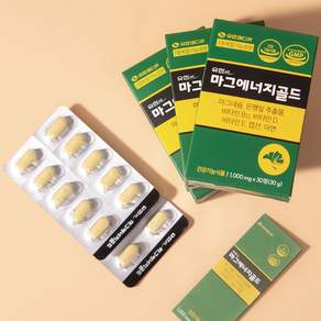 유한메디카 마그에너지골드 마그네슘 350mg 영양제
