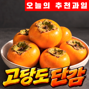 꿀담은 고당도 단감 초특가