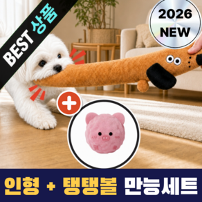 댕냥리안 튼튼한 애착 인형 + 탱탱볼 강아지 장난감 터그인형 터그놀이