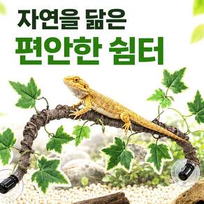 데이베크 게코 도마뱀 백업 넝쿨 놀이터 나뭇잎 인테리어 장식