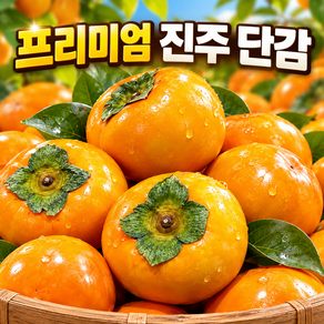 [가락시장출고] 진주 단감 고당도 특품 햇단감