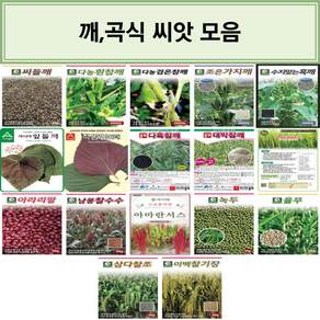 영미의정원 깨 곡식 씨앗모음/씨들깨/흰참깨/검은참깨/조은가지깨/수지맞는흑깨/아시아잎들깨/적쌈잎들깨/다흑참깨/대박참깨/보리(재래종)/아라리팥/남풍찰수수/아마란서스/녹두/율무/삼다찰조