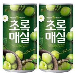 웅진 초록매실 매실음료 미니캔 캔음료 업소용