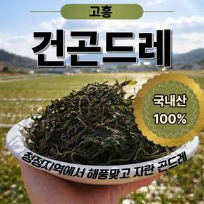 건곤드레