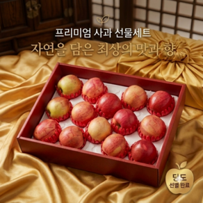 [백화점 명절선물세트] 프리미엄 초고당도 사과세트