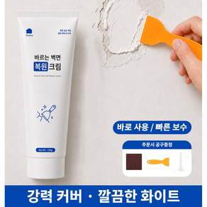 ToneZone 벽보수용 퍼티 벽지보수용 접착제 욕실 타일 보수제 깨진 타일 보수 벽면 보수제 구멍 균열 메꿈 수리제