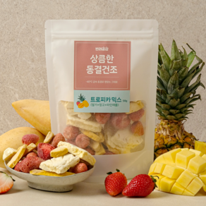 반려공감 강아지 동결건조 과일 간식