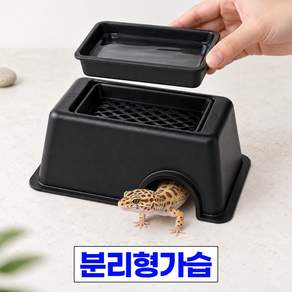 디심플 도마뱀 은신처 습식은신처