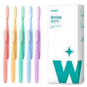 왕타 베이직 칫솔