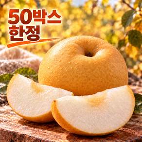 고당도 추황배 아삭달콤 나주