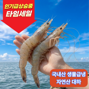 [당일급냉배송] 국내산 자연산 대하 구이용새우