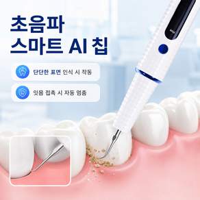 스마트 LED 초음파 치석제거기 셀프 스케일링 가정용 구강 케어 스케일러
