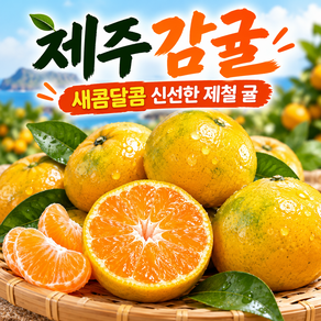고당도 귤 제주 타이벡 감귤