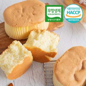 드림푸드 빵굽네 수제 카스테라 개별포장 10개 1BOX