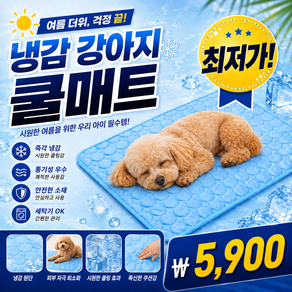 리빙스타일 시원한 냉감 강아지 쿨매트 여름 방석