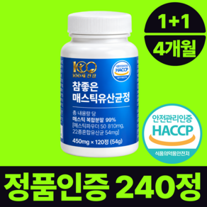 참좋은 매스틱 유산균 메스틱 정