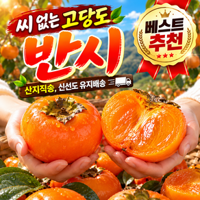 [원이네] 고당도 청도 반시 감 홍시