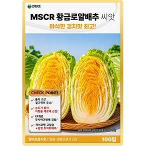 산들 MSCR 황금로얄 배추씨앗 100립 라이코펜 고함유 김장 배추씨 종자