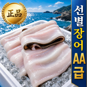 [당일손질] 30미한정 살밥 두툼한 통영 바다장어 (2종소스제공)