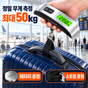 키스토 초정밀 캐리어 손저울 수화물 디지털 무게측정기