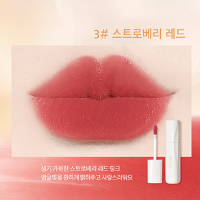 베이제 워터프루프 매트 립틴트 벨벳 텍스처 고발색 오래가는 무광 립컬러 LCY-05