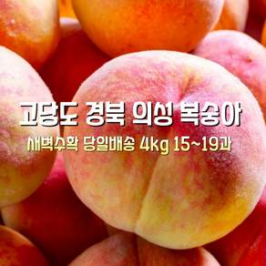 [산지직송] 국내산 자연산 새벽수확 당일배송 햇 고당도 털복숭아 딱딱이 백도 황도 복숭아 선물용 가정용
