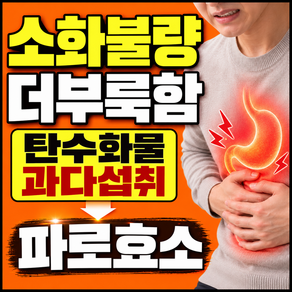 그레인온 골드 파로효소 1box 증정 [본품 15box 구매시] / 더 퀸 파로효소 30포(1개월) 소화불량 더부륵함 탄수화물 다이어트