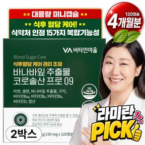 비타민마을 식후 혈당관리 바나바잎 추출물 코로솔산 프로 09