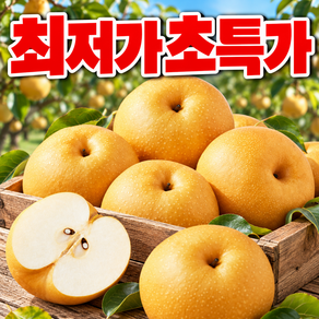 [초특가파격할인] 주문폭주중대란 초고당도 국내산환상의맛 배