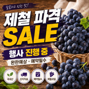 [완판예상] 캠벨포도 50BOX한정 프로모션 예약필수