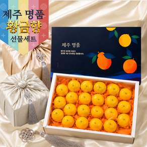 [추석과일선물세트] 황금빛 명품향기 제주황금향선물세트