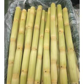 껍질제거 초록 생사탕수수 스틱 2kg