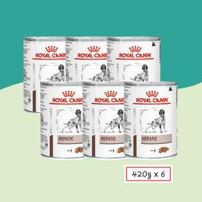 [로얄캐닌] 독 헤파틱 2.52kg (420g*6)