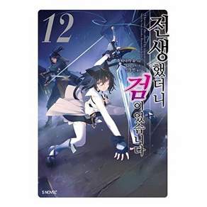 소미미디어 전생했더니 검이었습니다 12 - S Novel +