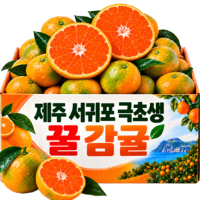 [30박스한정] 자신있는 초고당도 제주서귀포 새콤달콤 꿀 감귤