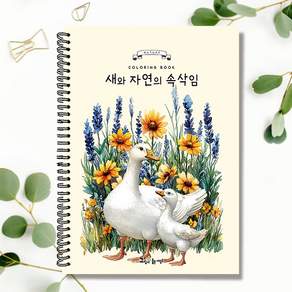 어른 어르신 시니어 컬러링북 수채화 색연필 색칠공부 치매 노인 엄마선물용 책 새와 자연의 속삭임