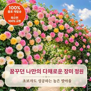 덩굴장미 꽃씨앗 장미씨앗 덩굴성 파종용 정원재배 화단조경
