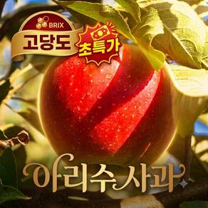 [초특가] [정밀선별] 국내산 100% 고당도 아리수 사과 (1kg 2kg 3kg 5kg)