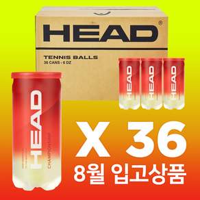 헤드 (2개입) 36캔 1박스 테니스공 시합구